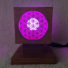 lampa kvet života