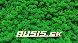 stabilizovaný mach
