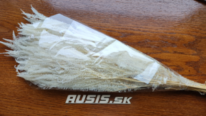 stabilizovaná rastlina